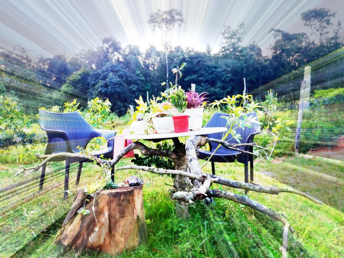 Silvershine Homestay Chikmagalur Exterior photo
